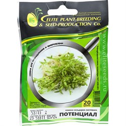 Семена ELITE PLANT-BREEDING & SEED PRODUCTION Co. ЭС мини - фото 14822388