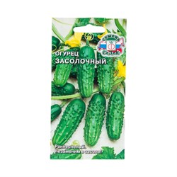 Семена СеДек 15825 - фото 14828759
