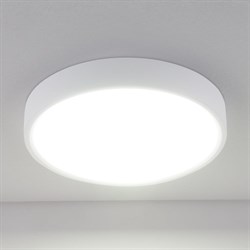 Стационарный светодиодный светильник ELEKTROSTANDARD DLS034 - фото 14839818