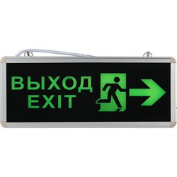 Аварийный светодиодный светильник ЭРА SSA101320 - фото 14840264