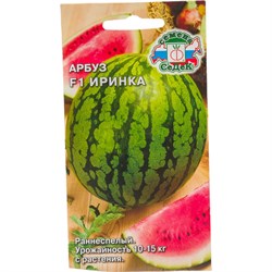 Семена СеДек 14833 - фото 14861904