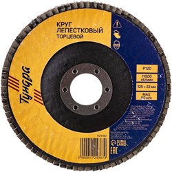 Лепестковый круг торцевой ТУНДРА 1124387 - фото 14862156