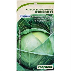 Семена Садовита Syngenta - фото 14862610