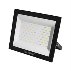 Светодиодный прожектор Lumin'arte LFL-100W/06 - фото 14864203