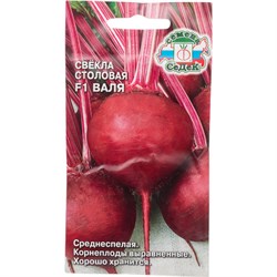 Семена СеДек 16352 - фото 14867000