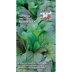Горчица СеДек Волнушка листовая, ДУ, скороспелая, однолетняя, овальная, курчявая, евро, 1 г - фото 14873154