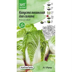 Пекинская капуста капуста для салата Агросидстрейд Ричи F1 - фото 14891551