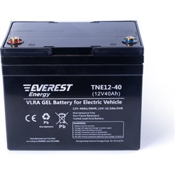 Тяговая аккумуляторная батарея EVEREST Energy Energy - фото 14892451