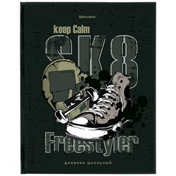 Дневник 5-11 класс 48 л., твердый, BRAUBERG, глянцевая ламинация, с подсказом, "Freestyle", 106395 - фото 14900928