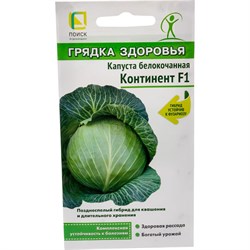 Капуста белокочанная Агрохолдинг ПОИСК Континент F1 (А) - фото 14911732
