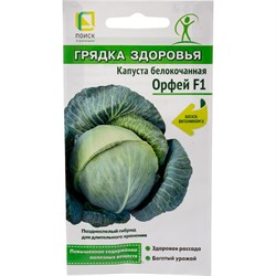 Капуста белокочанная Агрохолдинг ПОИСК Орфей F1 (А) - фото 14911841