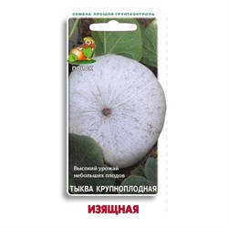 Тыква крупноплодная Агрохолдинг ПОИСК Изящная - фото 14912790