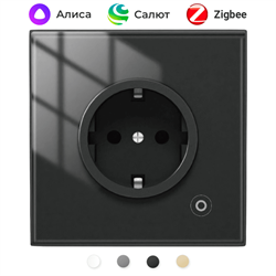 Розетка Moes Zigbee Smart Wall Socket черный модели ZK-EU - фото 14921903