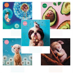 Тетрадь 24 л., HATBER клетка, обложка картон, "Узнай себя!" (Lucia Heffernan) (микс в спайке), 086740, 24Т5В1 - фото 14922773