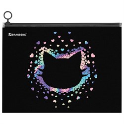 Папка для тетрадей BRAUBERG А4, 1 отделение, пластик, на zip-lock молнии, "Pretty face", 273319 - фото 14927286