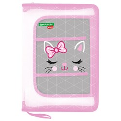 Папка для труда на молнии BRAUBERG KIDS А4, 1 отделение, прозрачная, органайзер, "Tiny cutie", 273397 - фото 14927320