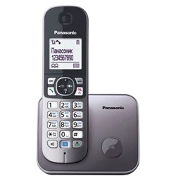 Радиотелефон PANASONIC KX-TG6811RUM, память 50 номеров, АОН, повтор, спикерфон, полифония, 10-100 м, серый - фото 14939116
