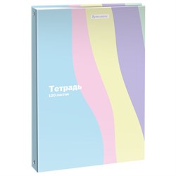 Тетрадь на кольцах А5 175х215 мм, 120 л., твердый картон, клетка, BRAUBERG PASTEL, 405198 - фото 14982911