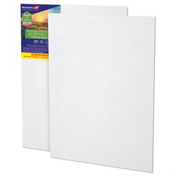 Холсты на картоне НАБОР 2 штуки (40х60 см), хлопок, грунт, 280 г/м2, BRAUBERG ART CLASSIC, 192656 - фото 15029176