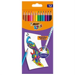 Карандаши цветные стираемые с ластиком BIC "Kids Evolution Illusion", 12 цветов, круглые, 987868  - фото 15054987