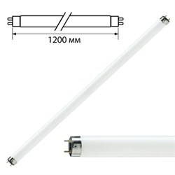 Лампа люминесцентная PHILIPS TL-D 36W/33-640, 36 Вт, цоколь G13, в виде трубки 120 см - фото 15057864