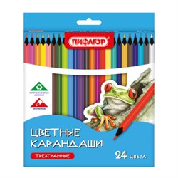 Карандаши цветные ПИФАГОР СТАНДАРТ 24 цвета, трехгранный корпус, 182088 - фото 15175209