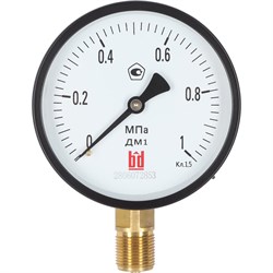 Манометр BD ДМ 1 Т2 100 Р - фото 15241707