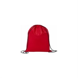 Мешок для обуви ПИФАГОР 271616 - фото 15243207