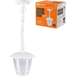 Садово-парковый подвесной светильник TDM ELECTRIC СИТИ НСУ 07-60-002 - фото 15389203