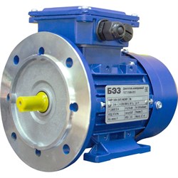 Электродвигатель ТМ БЭЗ АИР - фото 15699986