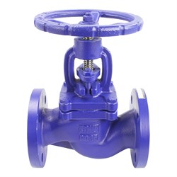 Чугунный фланцевый сальниковый запорный клапан DN.ru 215a - фото 15742611