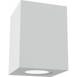 Потолочный светильник MAYTONI Alfa - фото 15847027