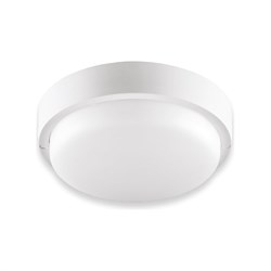 Светодиодный светильник WOLTA LCL04-18W-R11-6K-SOA - фото 15907814