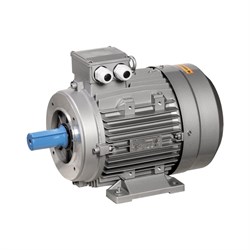 Электронный двигатель oni ONS112-L4-005-5-1521 - фото 15993082