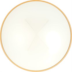 Светодиодный светильник Lumin'arte CLL20100W-STARWOOD-WH - фото 16083112