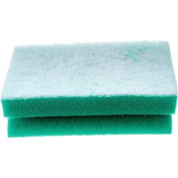 Губка для акриловых ванн ANTELLA 24979 - фото 16196672