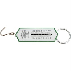 Безмен для домашнего пользования Рыжий кот 985967 - фото 16459034