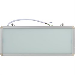 Аварийный светодиодный светильник ЭРА SSA101020 - фото 16500645