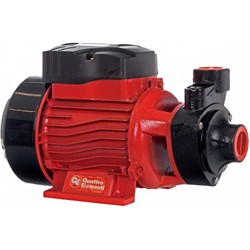 Садовый насос QUATTRO ELEMENTI Giardino 601 Ci - фото 16525059