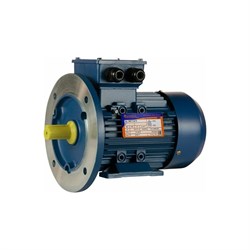 Электродвигатель 5АИ 71 В2 1.1/3000 IM 2081 - фото 16530503