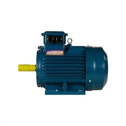 Электродвигатель 5АИ 112 М4 5.5/1500 IM 1081 - фото 16535788