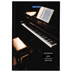Дневник для музыкальной школы 140х210 мм, 48 л., твердый, BRAUBERG, справочный материал, "Концерт", 103279 - фото 16561759