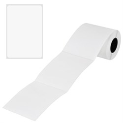 Этикетки термотрансферные, ПОЛИПРОПИЛЕН, 100х150 мм, 250 этикеток в ролике, 115615 - фото 16562011