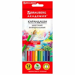 Карандаши цветные акварельные BRAUBERG "АКАДЕМИЯ", 12 цветов, шестигранные, грифель 3 мм, натуральное дерево, 181398 - фото 16562561
