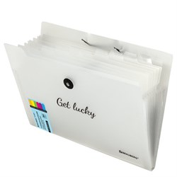 Папка-органайзер на резинке 12 отделений, BRAUBERG "Glassy", А4, прозрачная, 271929 - фото 16563668