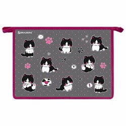 Папка для труда на молнии BRAUBERG А4, 2 отделения, органайзер, "Cat patches", 272211 - фото 16563710