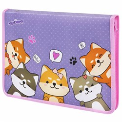 Папка для труда на молнии ЮНЛАНДИЯ А4, 1 отделение, откидная планка, органайзер, "Best fellows", 273392 - фото 16563977