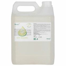 Средство дезинфицирующее 5 л ЛЮИР, концентрат - фото 16567335