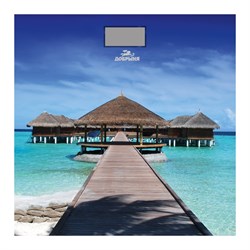 Весы Добрыня DO 3006M - фото 16591607