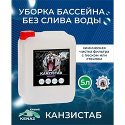 Средство для чистки фильтра бассейна КЕНАЗ КЕНАЗ КАНЗИСТАБ - фото 16595871